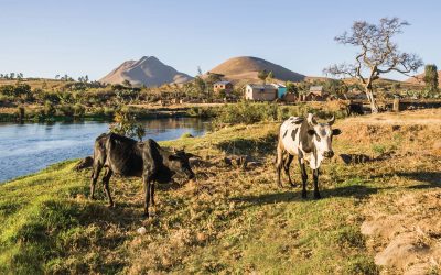 Lush farmland for Madagascar community after providing clean water