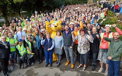 bbc diy sos
