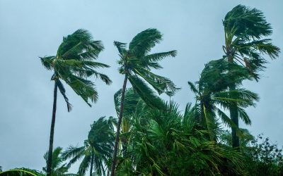 typhoon philippines